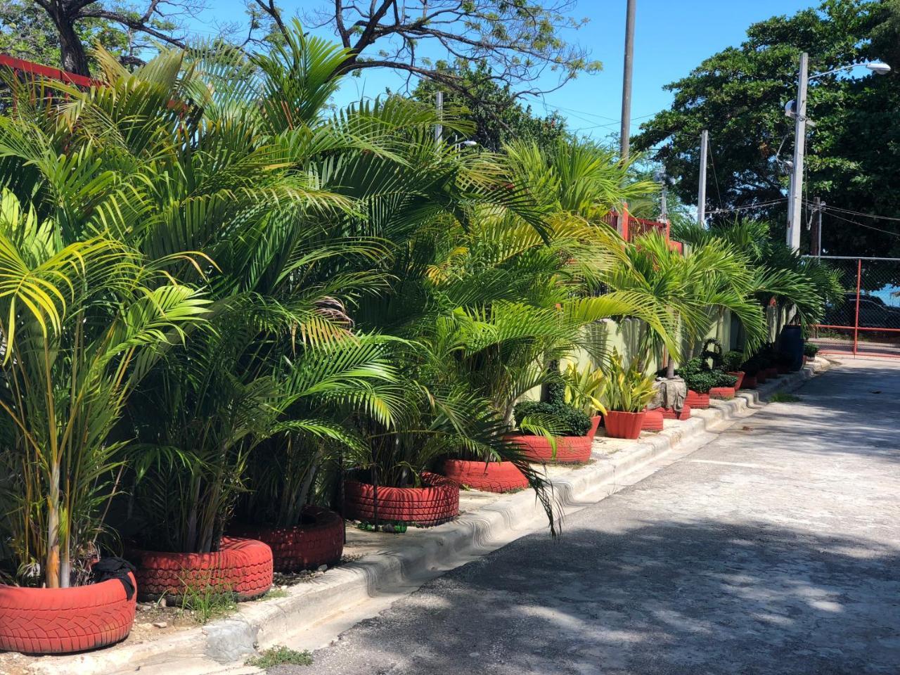 Hotel Guarocuya De Barahona Buitenkant foto